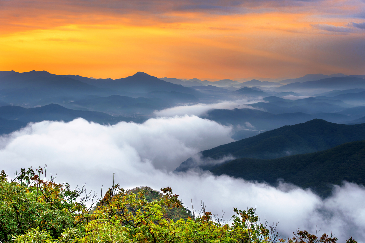 bg_image
